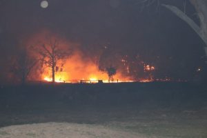 TORRINGTON NSW AUSTRALIA FIRES NOVEMBER 2019